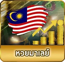 huay7